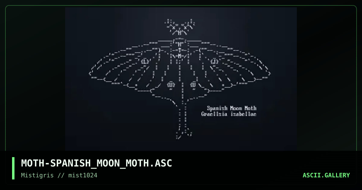 Spanish Moon Moth, by moth, 2024