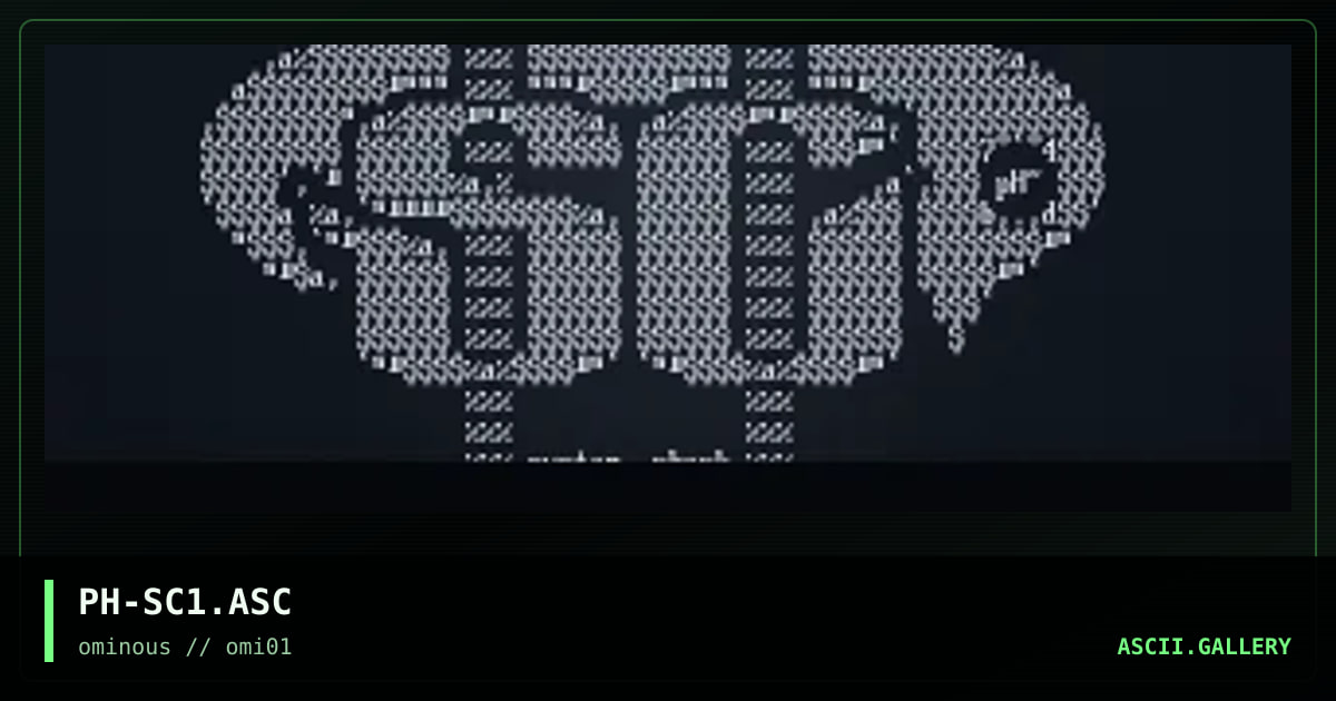 system check ascii #1, by direct, 1997