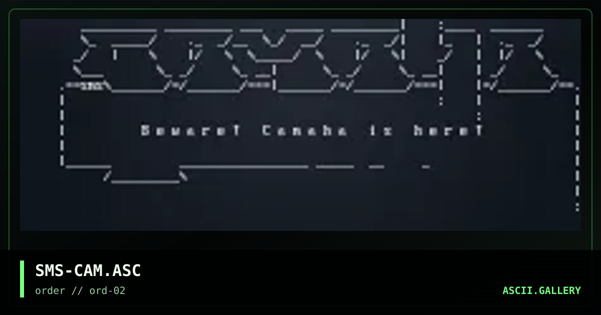 SMS-CAM.ASC, by steve mcstretch, 1996