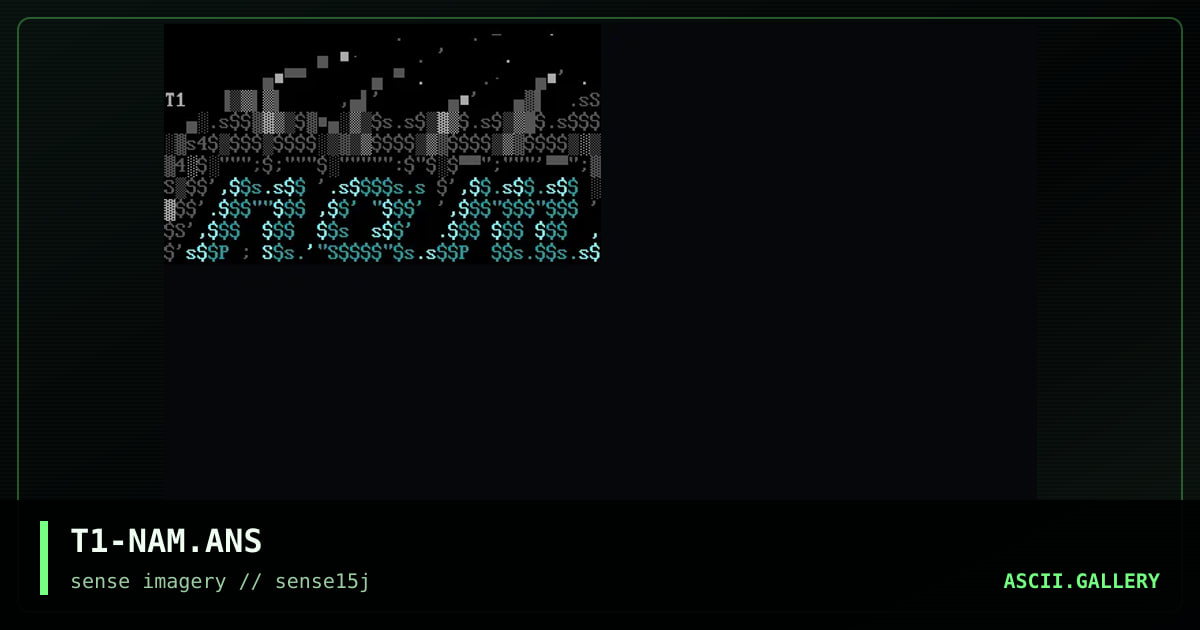 T1-NAM.ANS, by tracker1, 2003