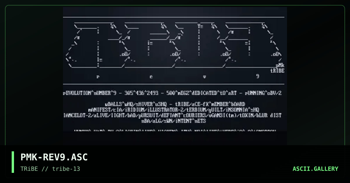 REV#9 ASCii, by piromaniak, 1994