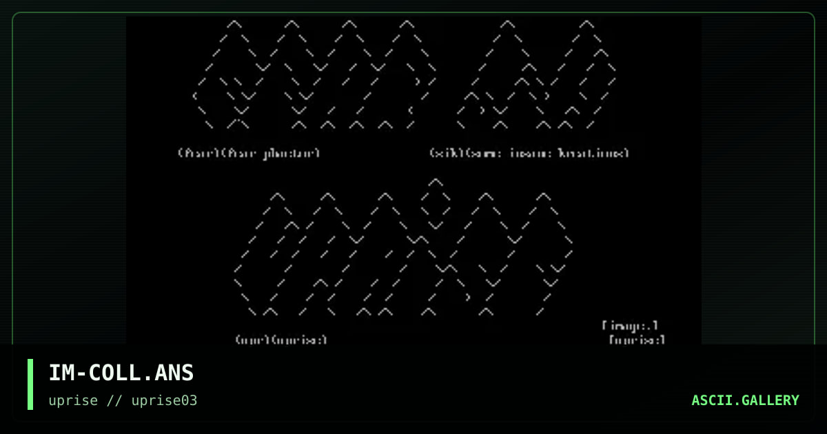 IM-COLL.ANS, by image, 1998