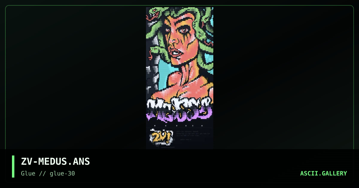 medusa bbs software, by zerovision, 2000